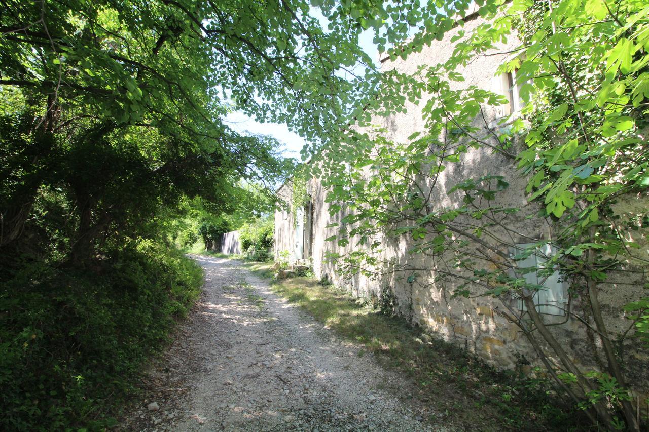 Chateau De Fontblachere Saint-Lager-Bressac Экстерьер фото